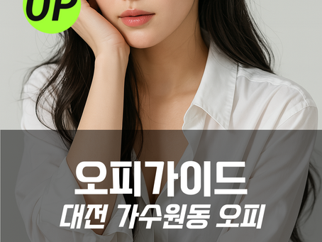 대전 가수원동 오피 - 가수원동OP