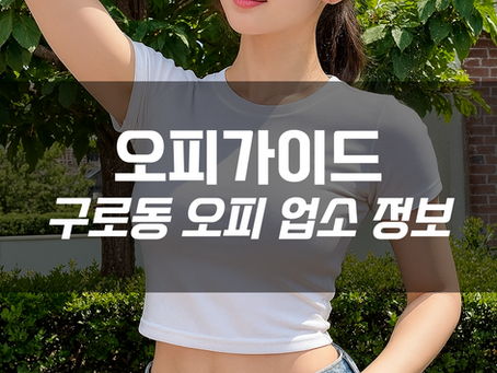 서울 구로구 구로동 오피 업소 정보 – 구디 상권 중심의 휴식 공간