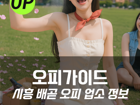 시흥 배곧 오피(OP) – 오피가이드