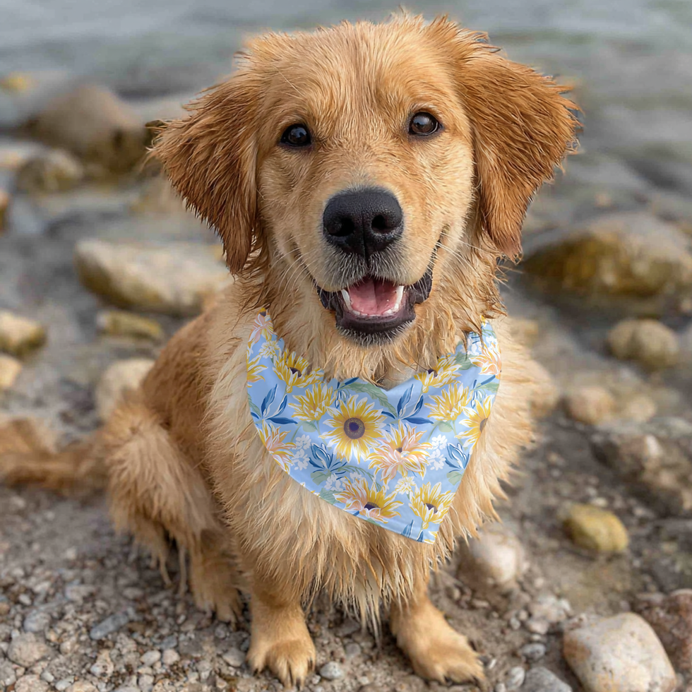 Thumbnail: Sunflower Pet Bandana Collar