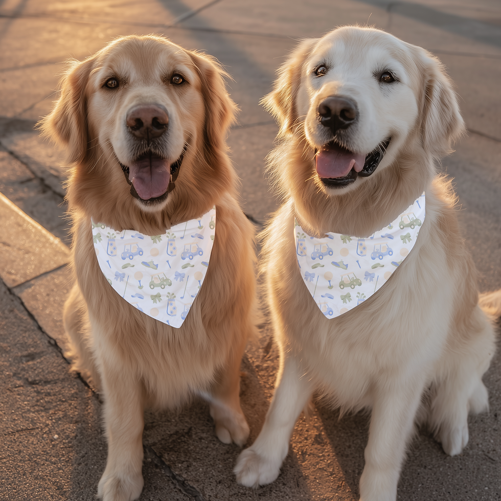 Thumbnail: Pretty Golf Pet Bandana Collar