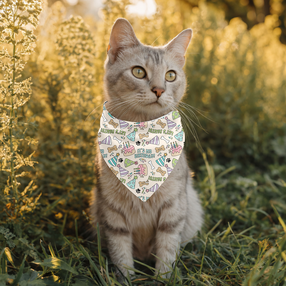Thumbnail: It's My Birthday Pet Bandana Collar