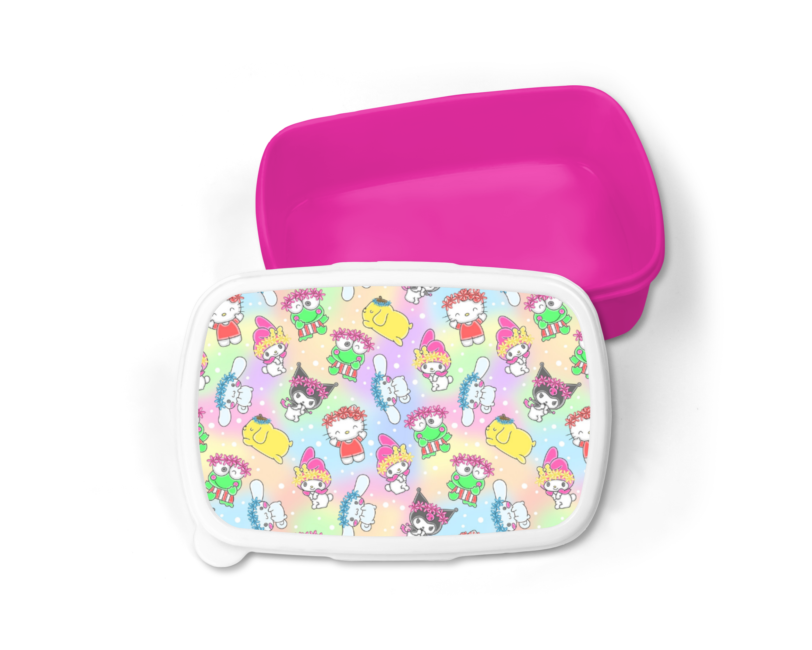 Hello Kitty Friends Lunch Box