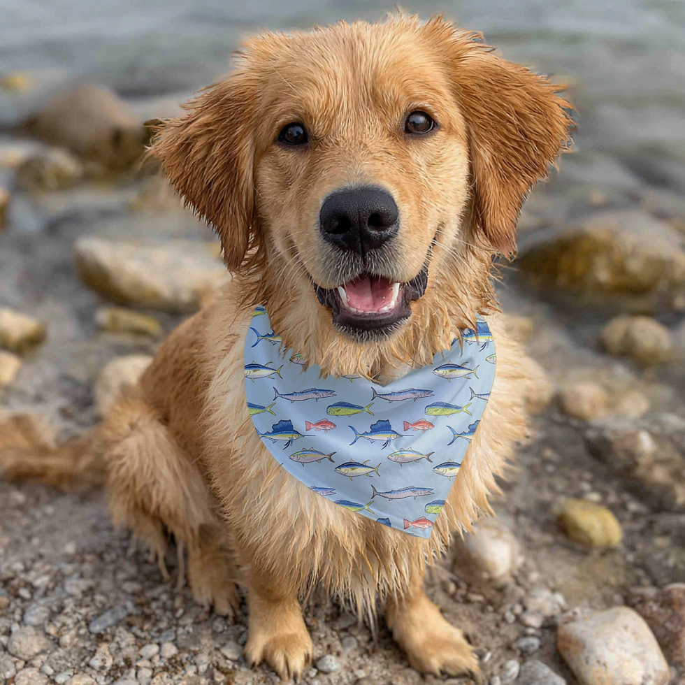 Thumbnail: Fish Pet Bandana Collar