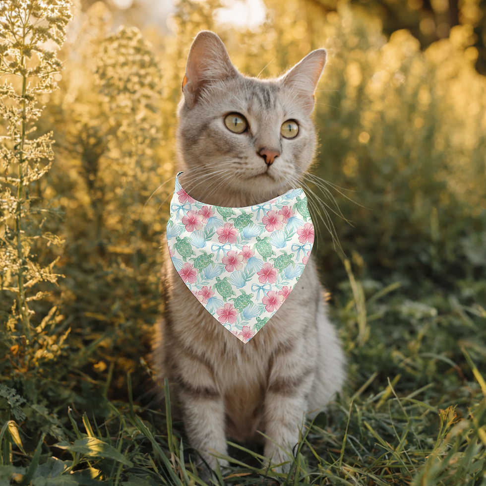 Thumbnail: Pretty Coastal Pet Bandana Collar