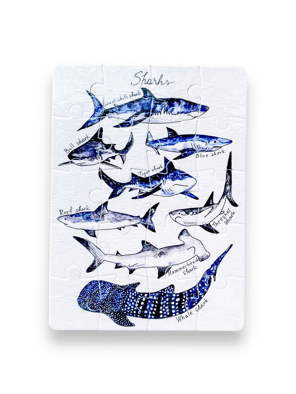 Type Of Sharks - Puzzle