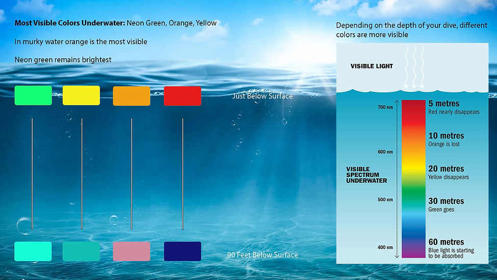 Limelight Website Page3.jpg