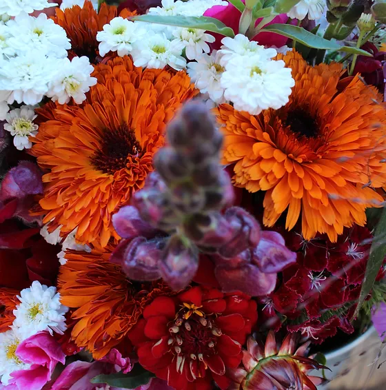 What We Offer Kokoroflowers