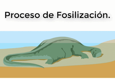 fosilizacion.gif