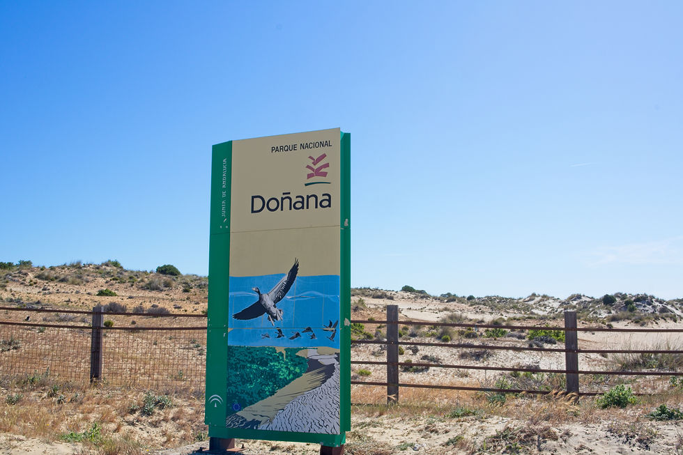 Spanien Andalusien Nationalpark Doñana
