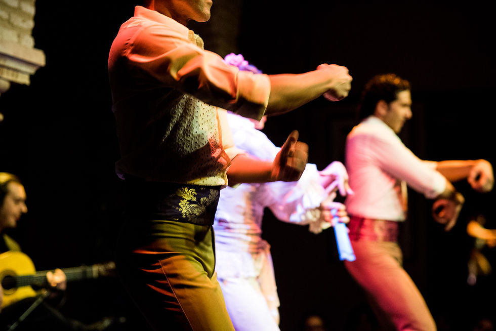 Flamenco Tanz Museum Show