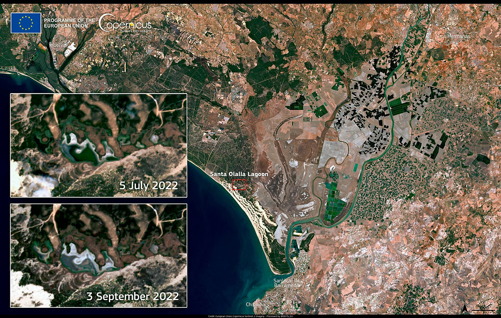 Spanien Andalusien Nationalpark Doñana Satellitenbild Copernicus Sentinel-2