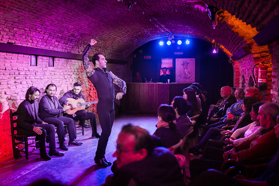 Flamenco Tanz Museum Sevilla