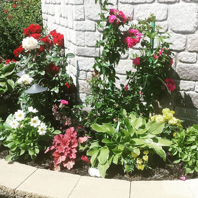 Vert Oasis • Entretien Paysager