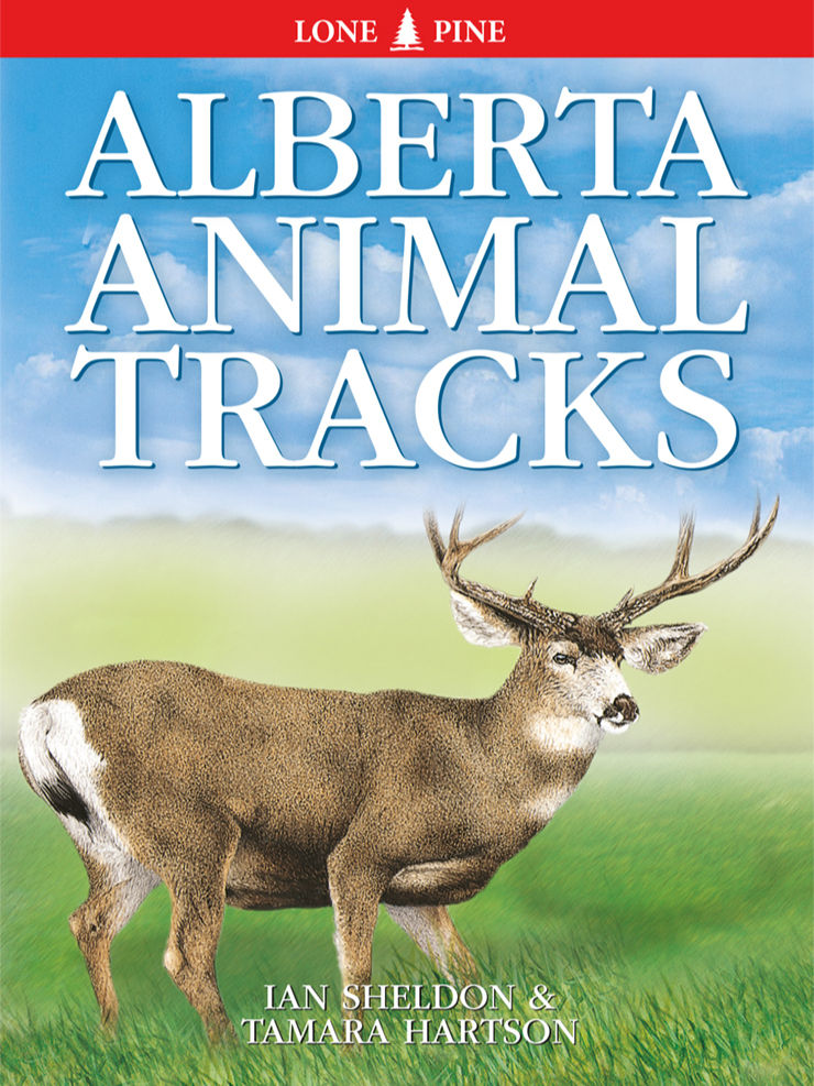 Alberta Animal Tracks Field Guide - Book