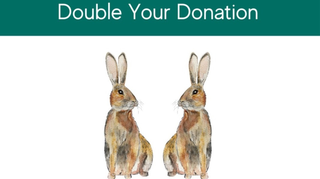 Double Your Donation Calgary Wildlife