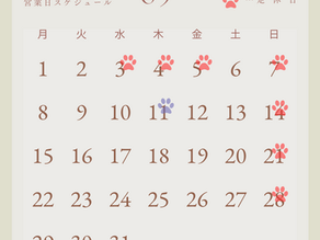2023年5月　営業日スケジュール✂