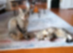 Juno and Tye_edited