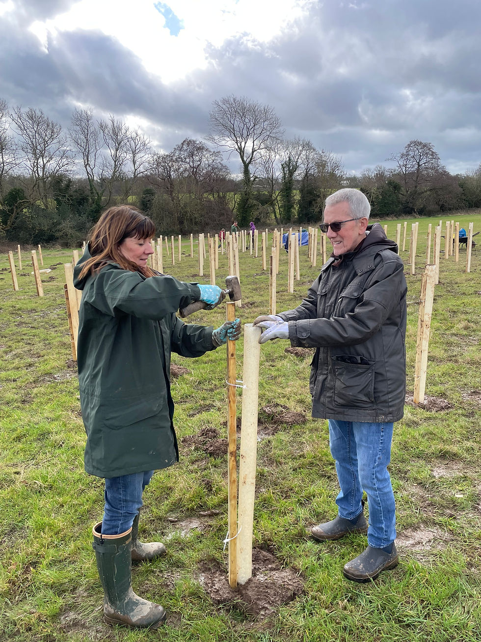 And some a bit older........