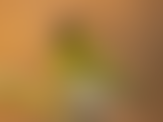 The arrival of our winter visitors