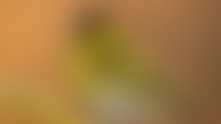 The arrival of our winter visitors