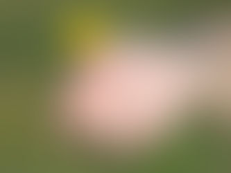 Das Leben ist ein Geschenk und wir sind darin, die ewig Lernenden. 