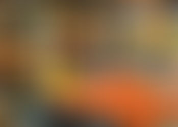 Quick-Tipp: Tomaten als Wintervorrat für Pastagerichte