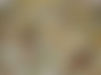 Tarot - Die große Arkana