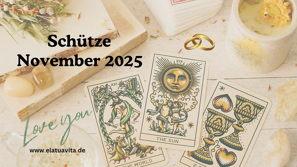 Monatslegung November 2025 - Schütze Download