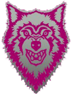 fnaty logo_edited.png