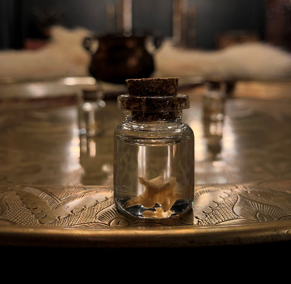 Thumbnail: SNAKE BONE IN RITUAL OIL