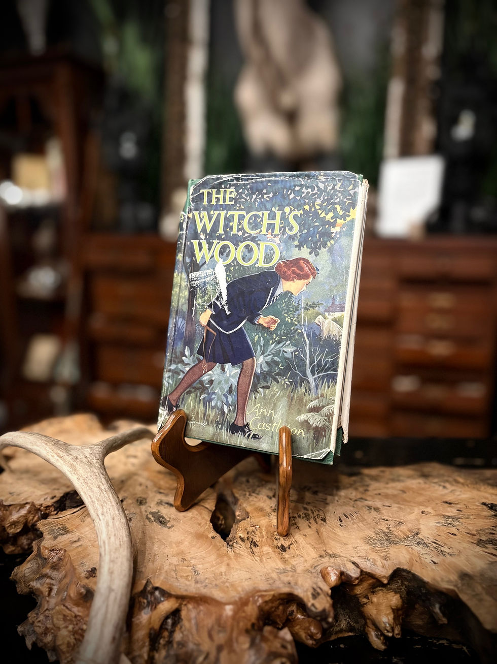 Thumbnail: 1948 THE WITCH'S WOOD