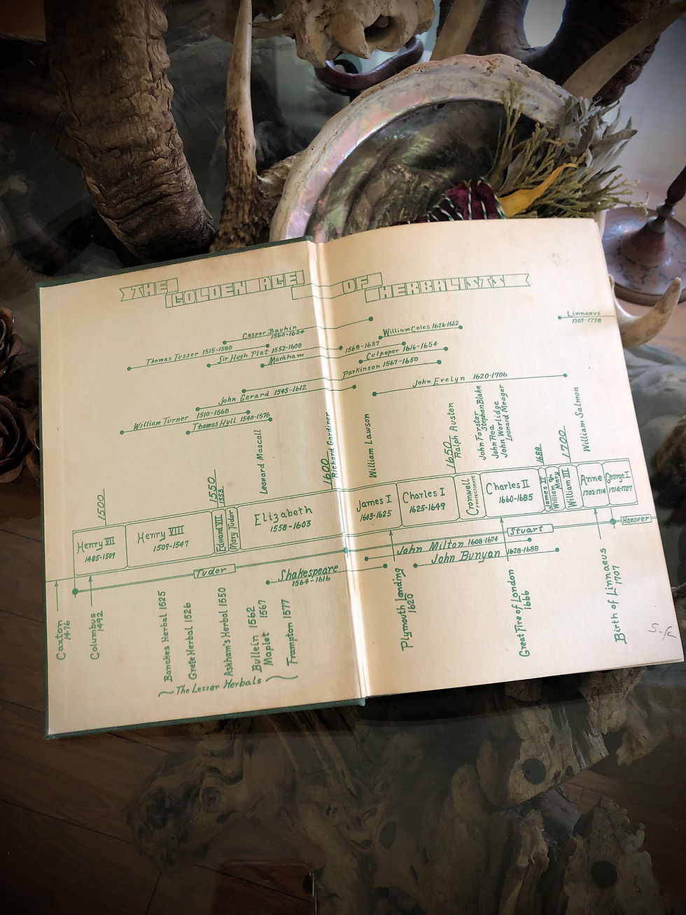 Thumbnail: 1940 GREEN ENCHANTMENT -THE MAGIC SPELL OF GARDENS