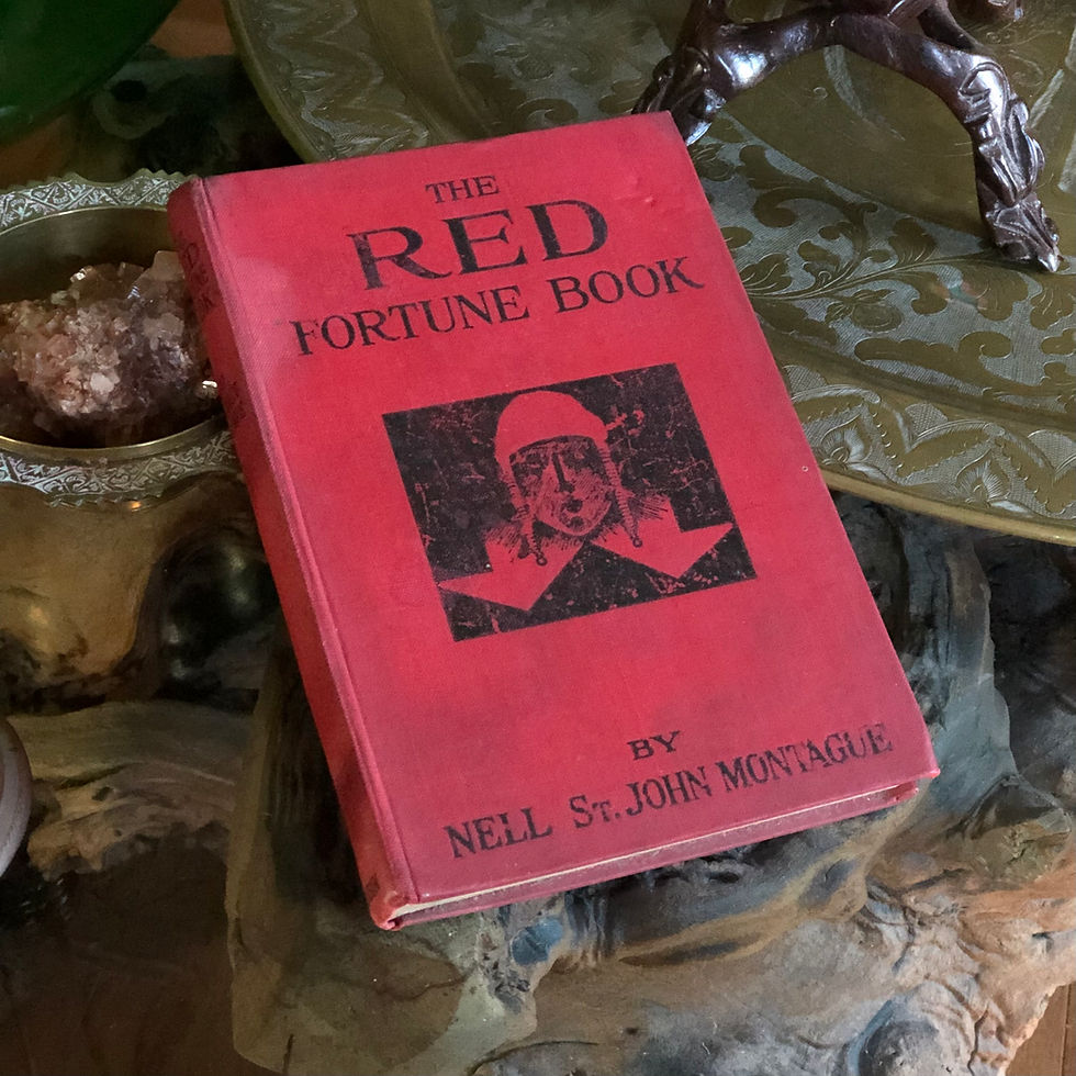 Thumbnail: 1924 THE RED FORTUNE BOOK - RARE
