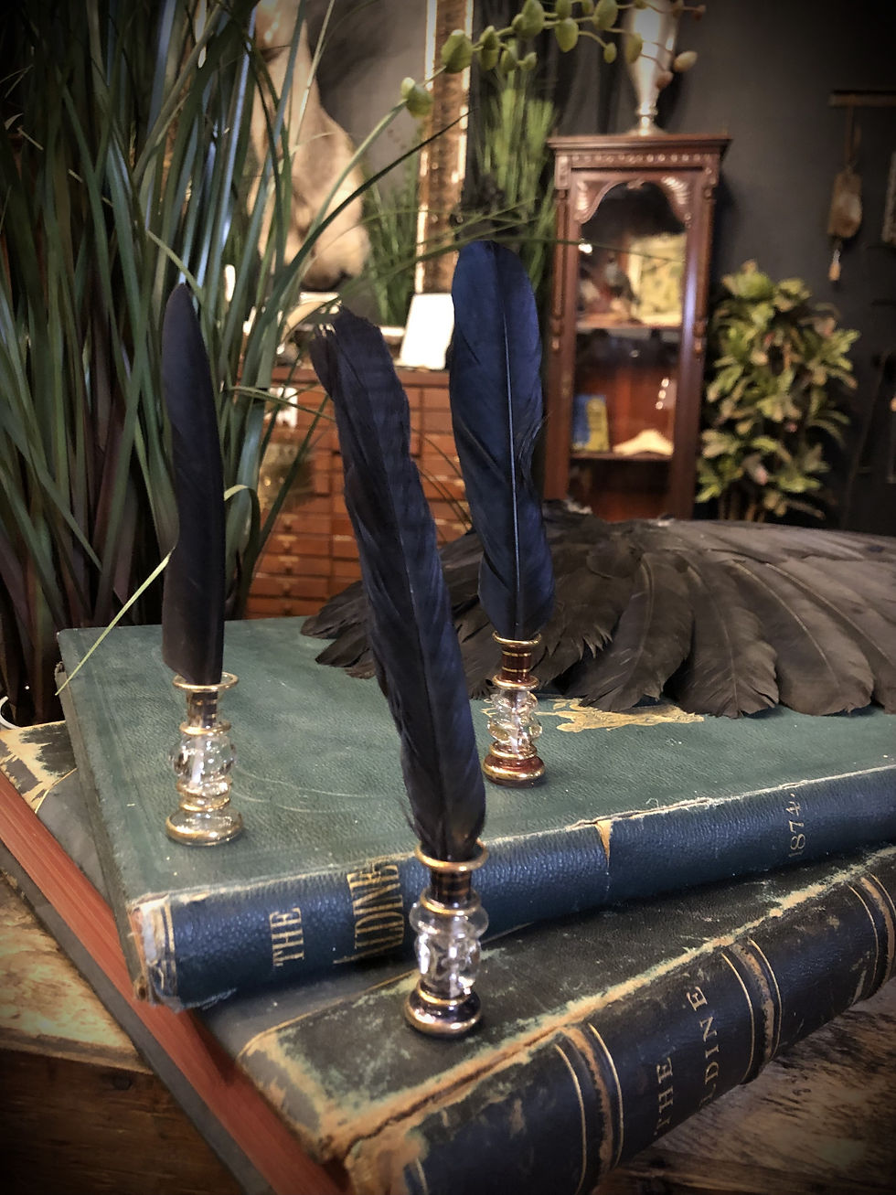 CROW FEATHER - ENGLAND