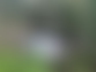 "El Monte la despertó"