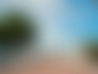 La Dirección de Transporte de Progreso hace un llamado a la Ciudadanía para reportar Aumentos No Oficiales de Pasaje