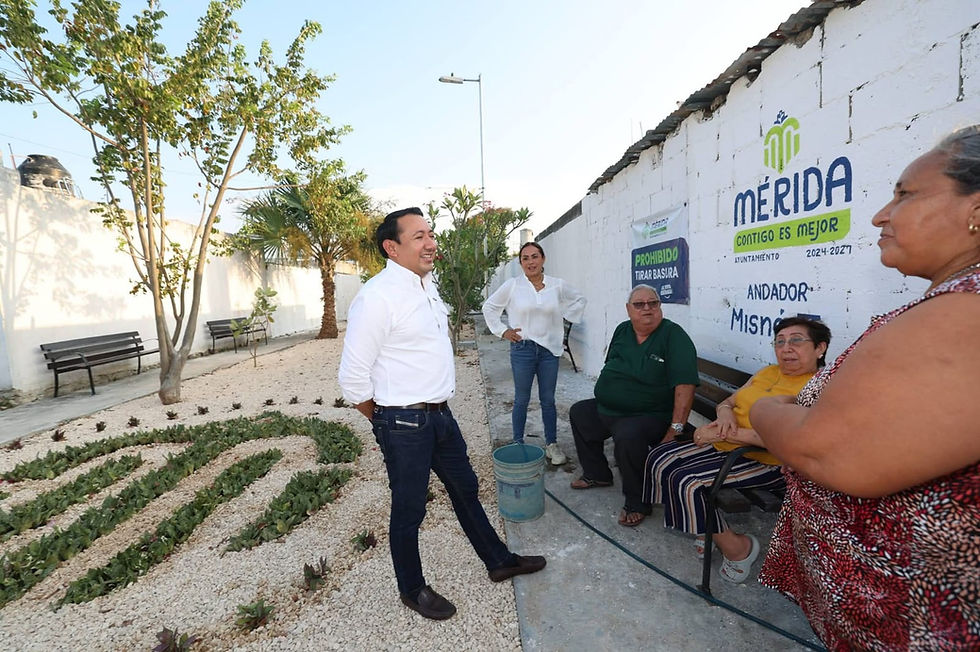 Rescatan Espacios Abandonados en Misné Tras Petición Vecinal de Meridanos