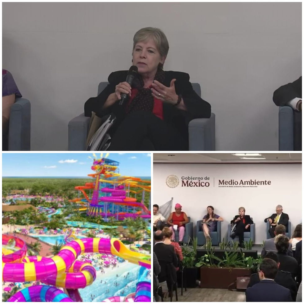 Gobierno Federal Frena MegaProyecto de Royal Caribbean en Mahahual