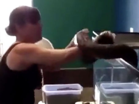 Una cuidadora de animales es salvajemente atacada por una serpiente