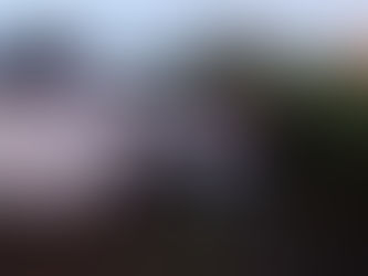 Se fue al monte y de cabeza