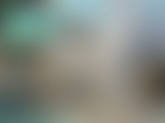 Se quema camión; Pasajeros se ponen a salvo