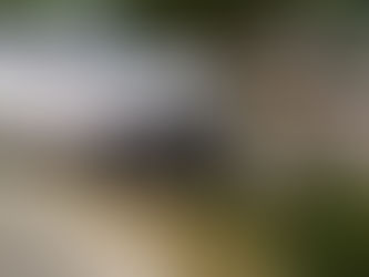 Por la colisión terminó encima del camellón y derribando un árbol