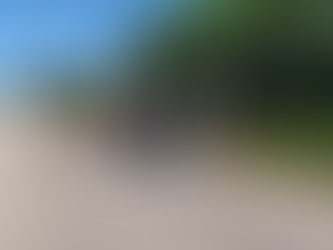 Termina herido después de atropellar y matar a un perro