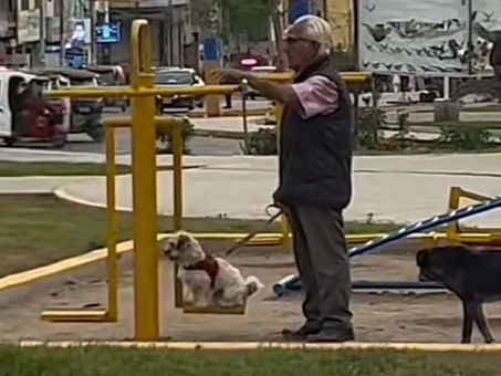 "Quiero un abuelito así": adulto mayor sale a columpiar a su perrito y enternece en redes