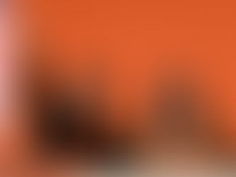 Movimiento Ciudadano confirma a Vida Gómez como candidata a la gubernatura de Yucatán