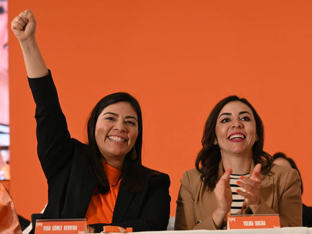 Movimiento Ciudadano confirma a Vida Gómez como candidata a la gubernatura de Yucatán