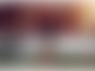 Documentales del Perro Aguayo y los hermanos Rivera recorrerán México