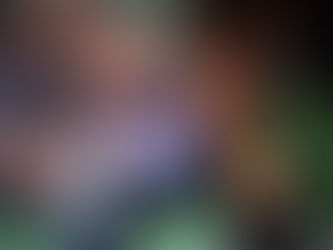 Explosión en Ticul: Dos adultos mayores mueren quemados