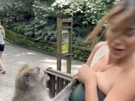 Exmiss Perú sufrió un bochornoso momento cuando un mono trató de "desvestirla"